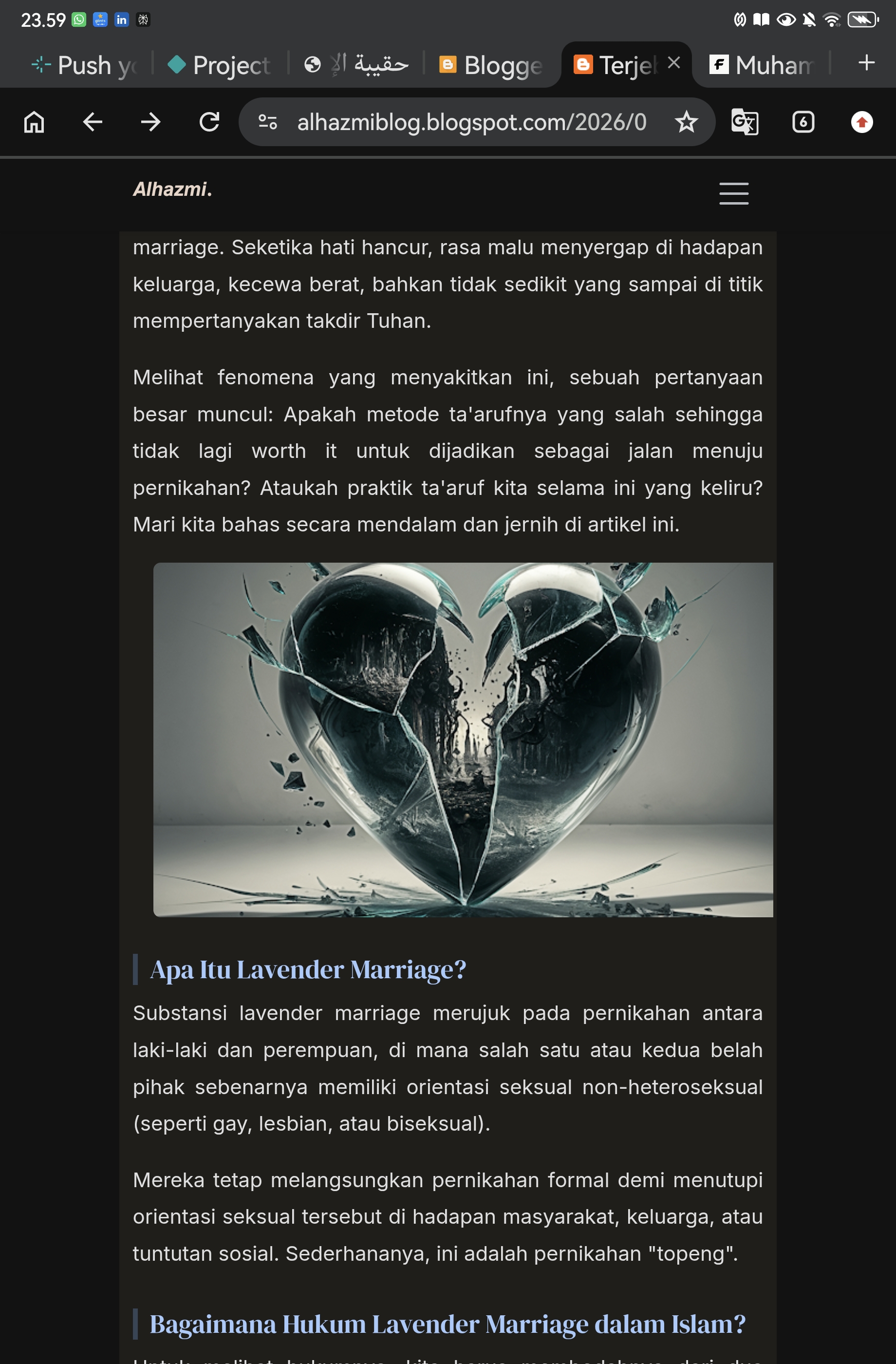 Terjebak Lavender Marriage